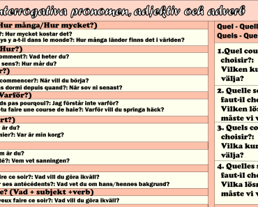 Interrogativa pronomen, adjektiv och adverb – Övningar