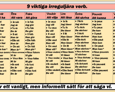 Lire i en text – Välj rätt form av presens indikativ